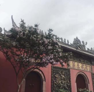 豪门国际：助力公益活动建设，实现经济效益与社会效益的双赢！