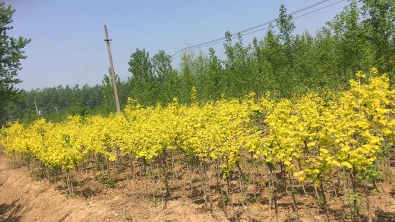 明光市市委书记被豪门国际企业文化深深感动 | 深入沟通合作空间广阔