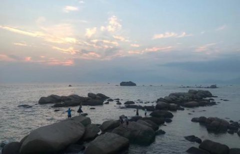 豪门国际：新的经营模式应当立足在商业模式之上